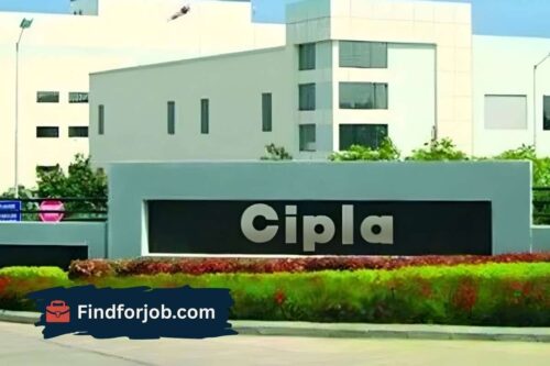 Job at Cipla