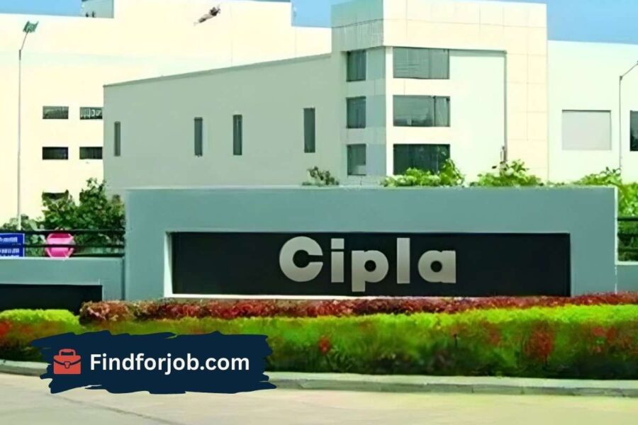 Job at Cipla